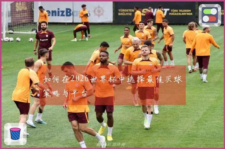 如何在2026世界杯中选择最佳买球策略与平台