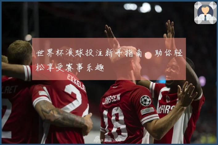 世界杯滚球投注新手指南，助你轻松享受赛事乐趣