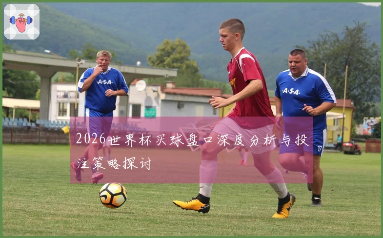 2026世界杯买球盘口深度分析与投注策略探讨