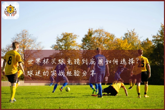 世界杯买球竞猜到底该如何选择？球迷的实战经验分享