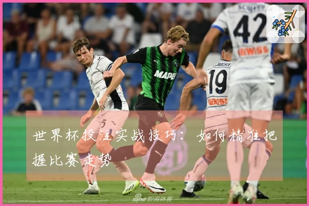 世界杯投注实战技巧：如何精准把握比赛走势
