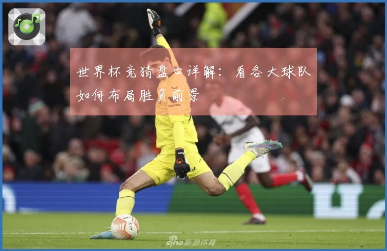 世界杯竞猜盘口详解：看各大球队如何布局胜负前景