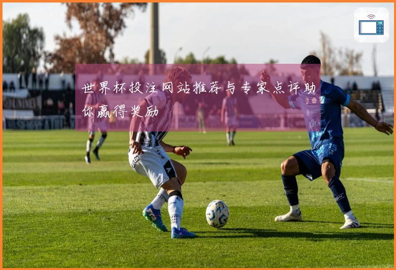 世界杯投注网站推荐与专家点评助你赢得奖励