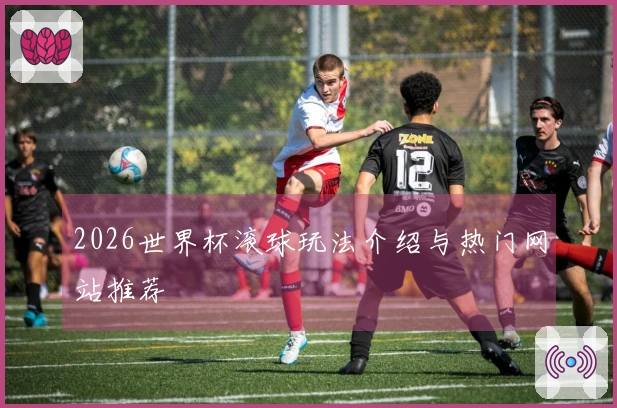 2026世界杯滚球玩法介绍与热门网站推荐
