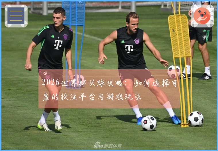 2026世界杯买球攻略：如何选择可靠的投注平台与游戏玩法