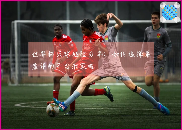 世界杯买球经验分享：如何选择最靠谱的平台和策略
