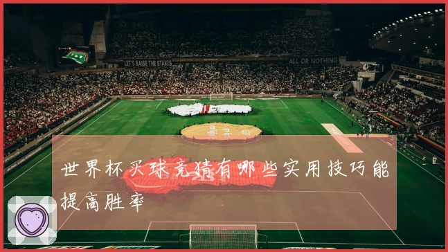 世界杯买球竞猜有哪些实用技巧能提高胜率