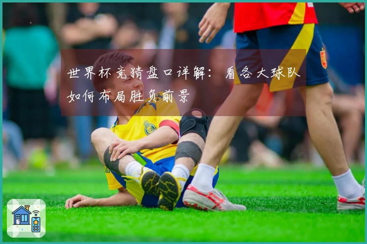 世界杯竞猜盘口详解：看各大球队如何布局胜负前景