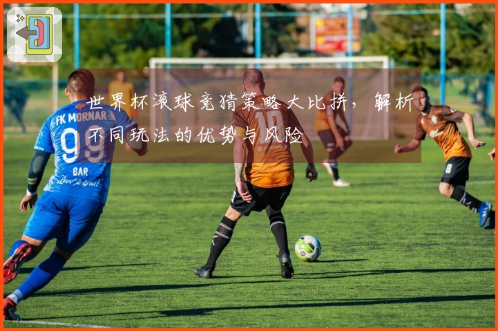 世界杯滚球竞猜策略大比拼，解析不同玩法的优势与风险
