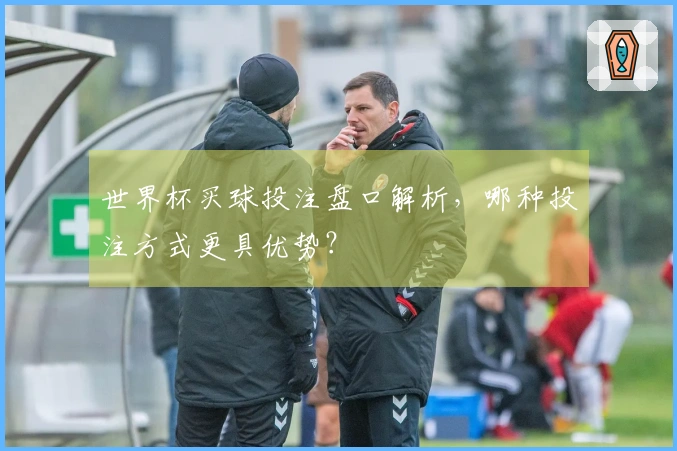 世界杯买球投注盘口解析，哪种投注方式更具优势？