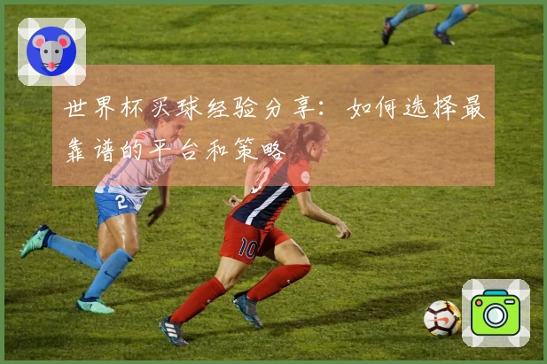 世界杯买球经验分享：如何选择最靠谱的平台和策略