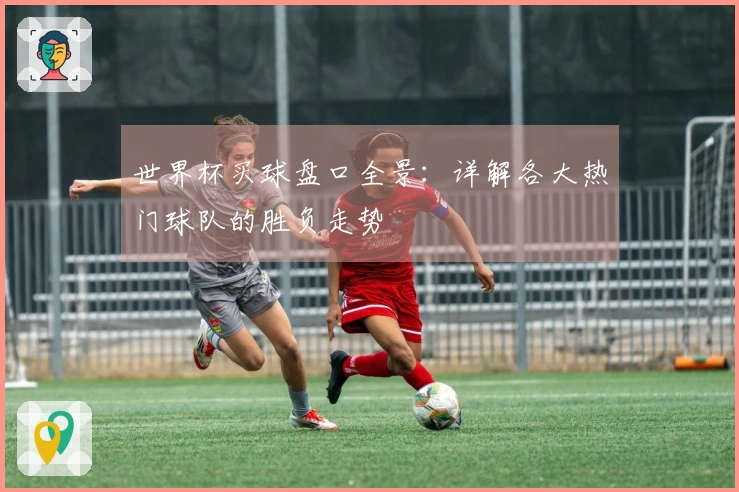 世界杯买球盘口全景：详解各大热门球队的胜负走势