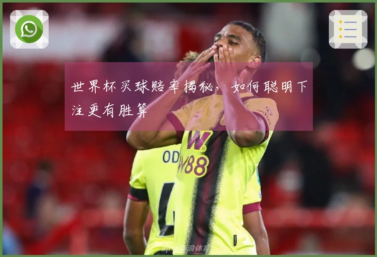 世界杯买球赔率揭秘，如何聪明下注更有胜算